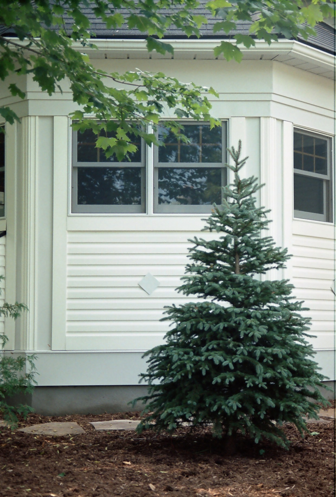 Siding services Ottawa showing close up of vinyl siding installation